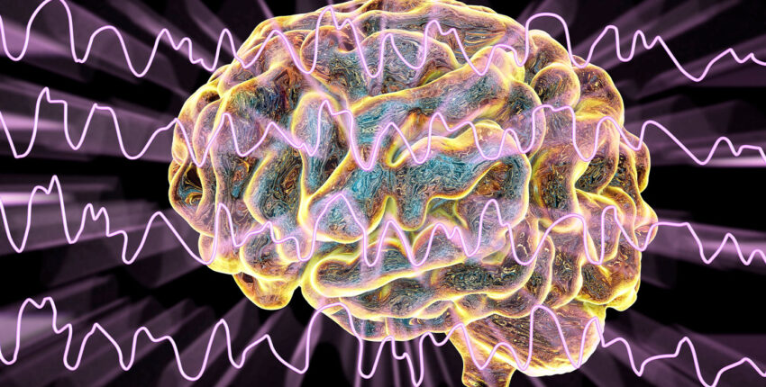 combining brain